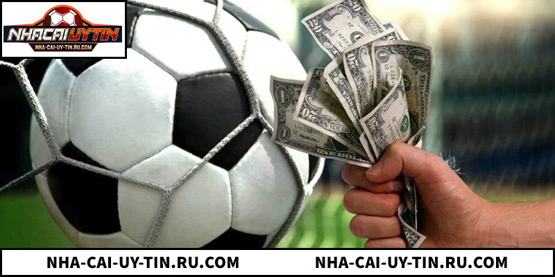 Thuật Ngữ Cá Độ Bóng Đá 8 Khái Niệm Quan Trọng Cần Biết